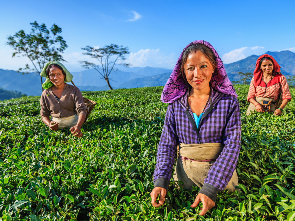 Darjeeling