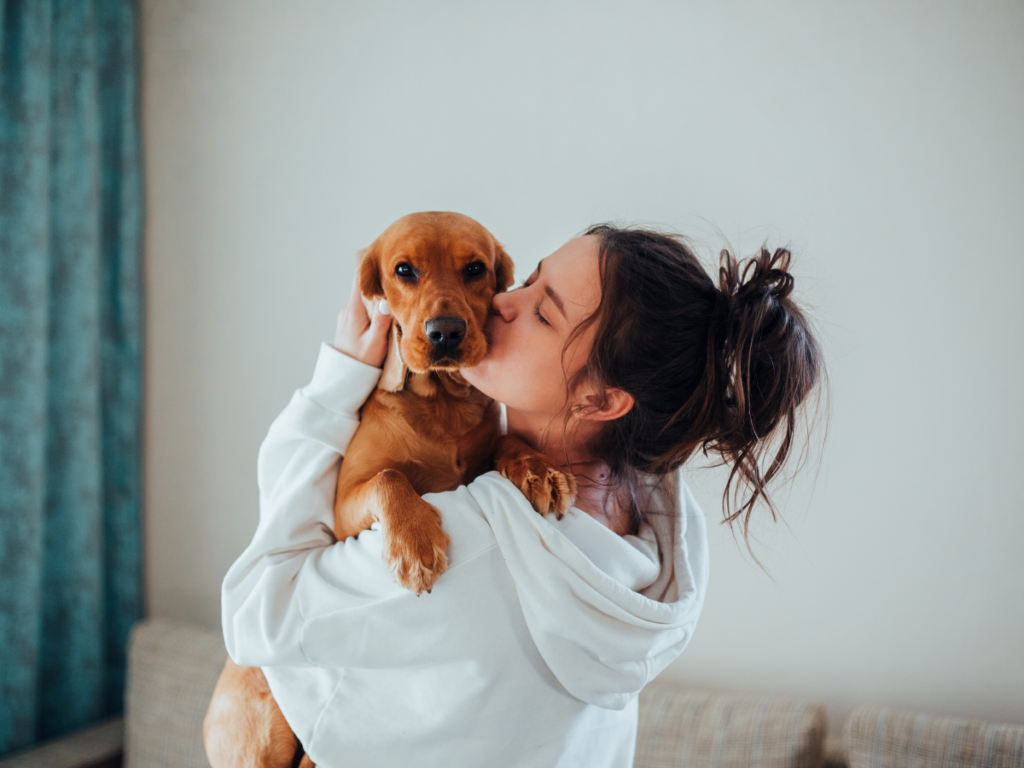 Dog Friendly Hotel Spa break